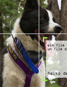 春花秋月未了情